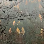 Апартаменты Slunecny